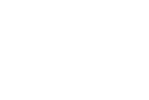 Carbon Revolution