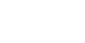 Rausch Coleman logo white