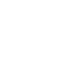 Goose Island Beer Company - white logo