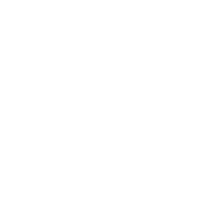 Goose Island Beer Company - white logo