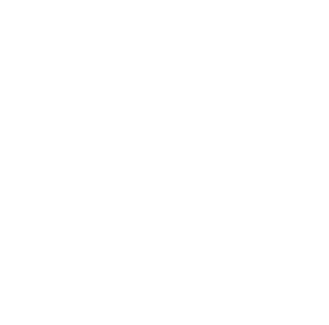 The U network - white logo