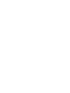 Vintage Security - white logo