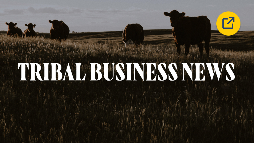 Tribal Business News