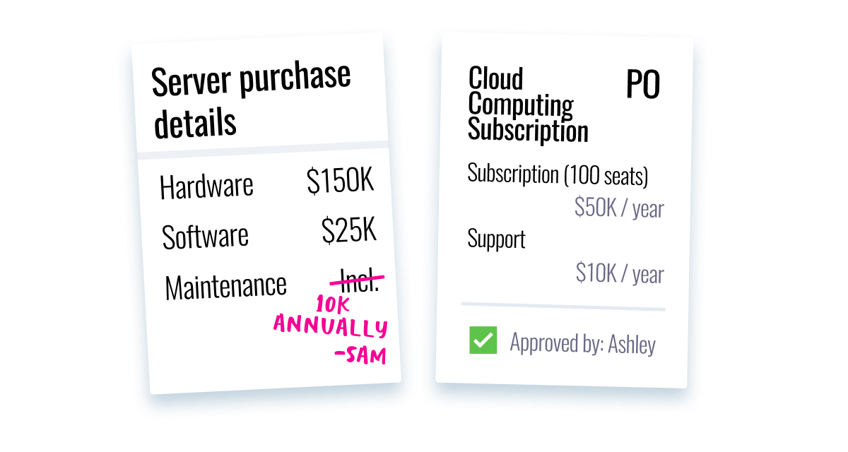 Server costs and cloud subscription details showing hardware, software, and annual fees